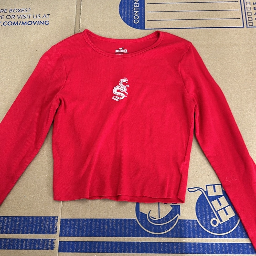 Hollister dragon crop top